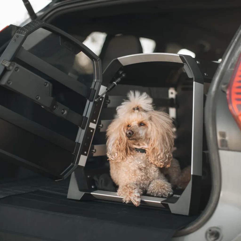 transportadora para perro