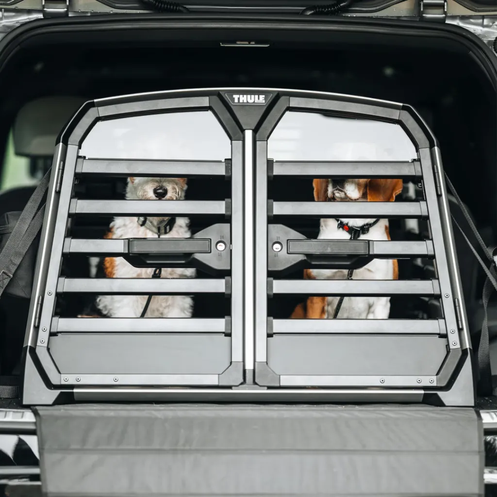 transportadora para perro