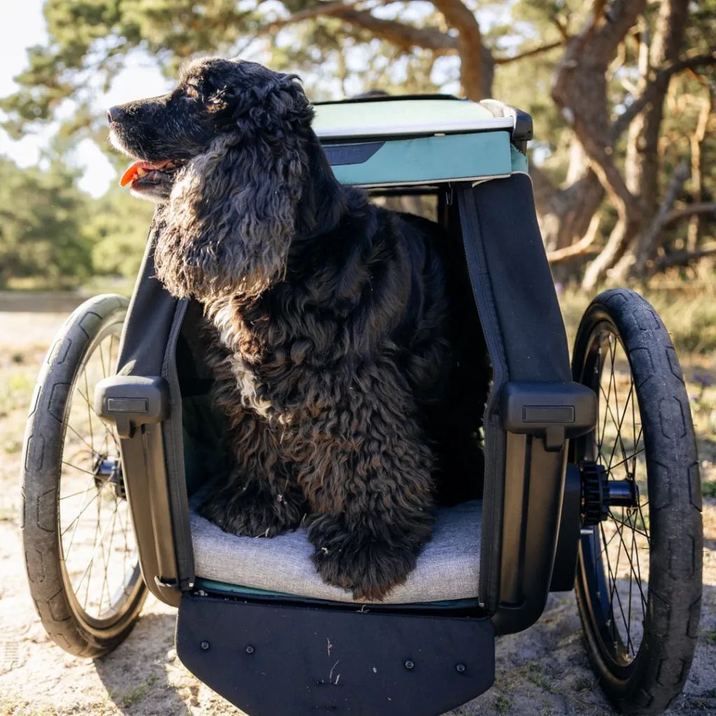 remolques para bicicletas