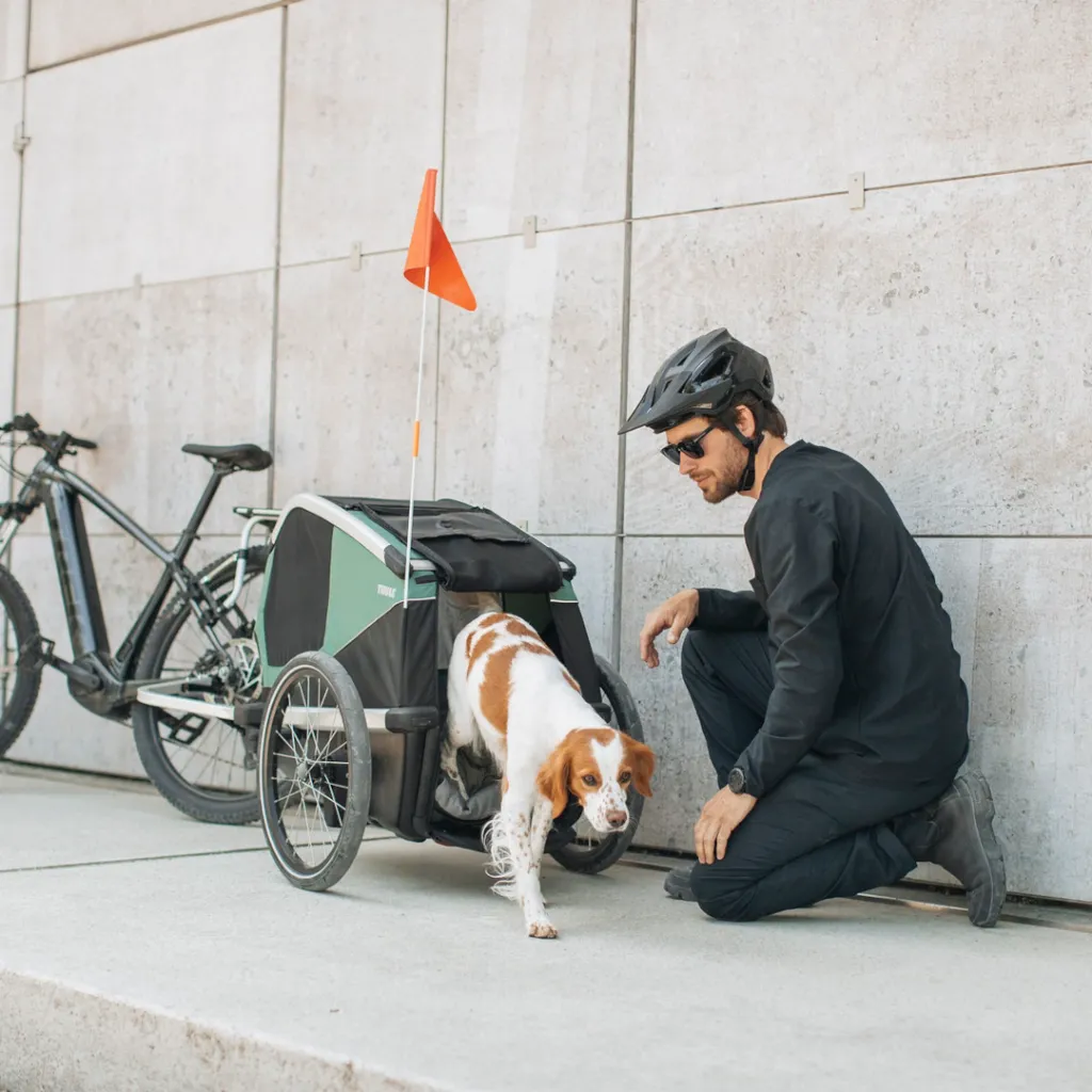 remolques para bicicletas